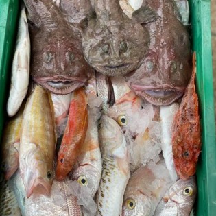 Ribarnica Bura