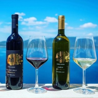 Vinarija Terra Madre