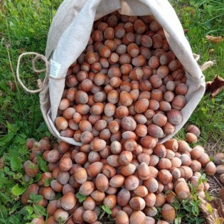 OPG Manjarić Marijan